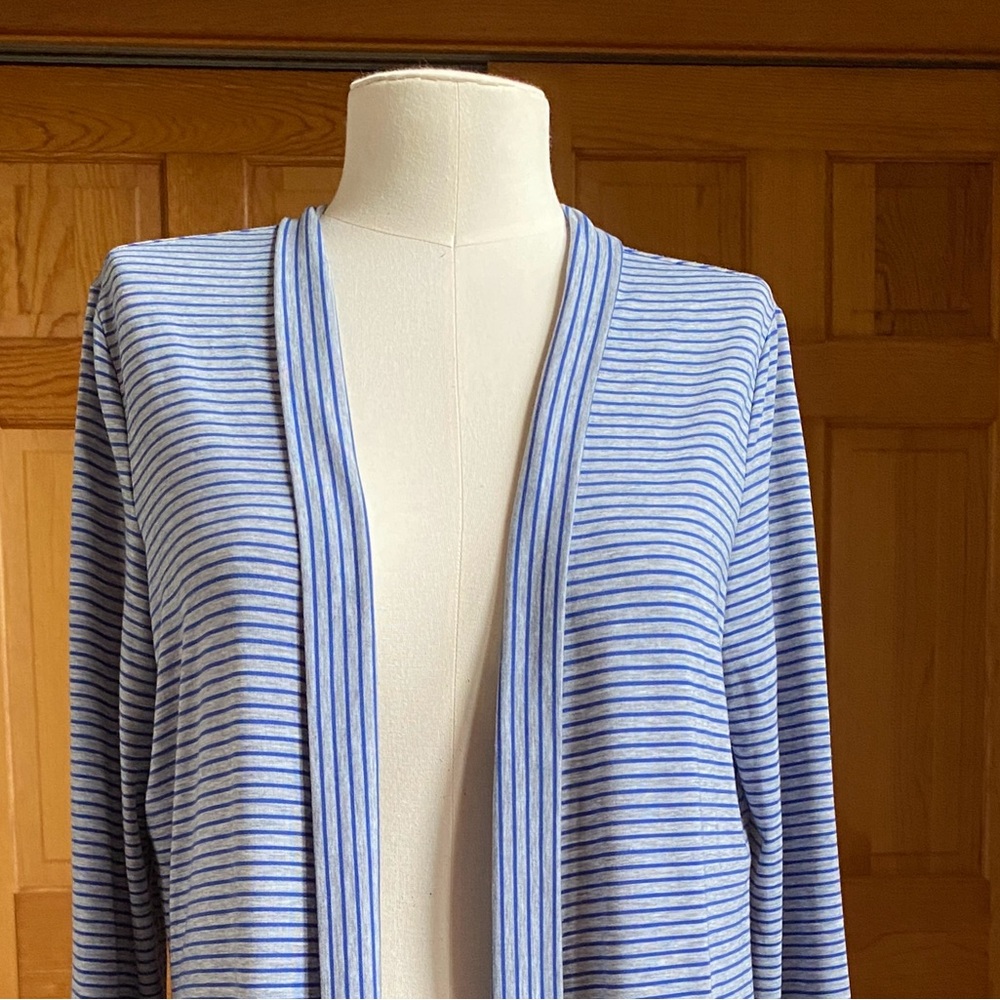 Blue and White Striped L.L. Bean Cardigan